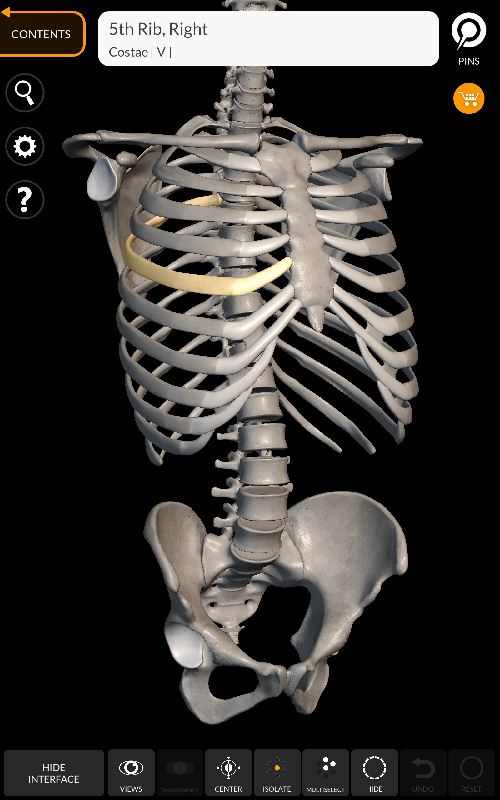 Skeleton | 3D Anatomy | Indus Appstore | Screenshot