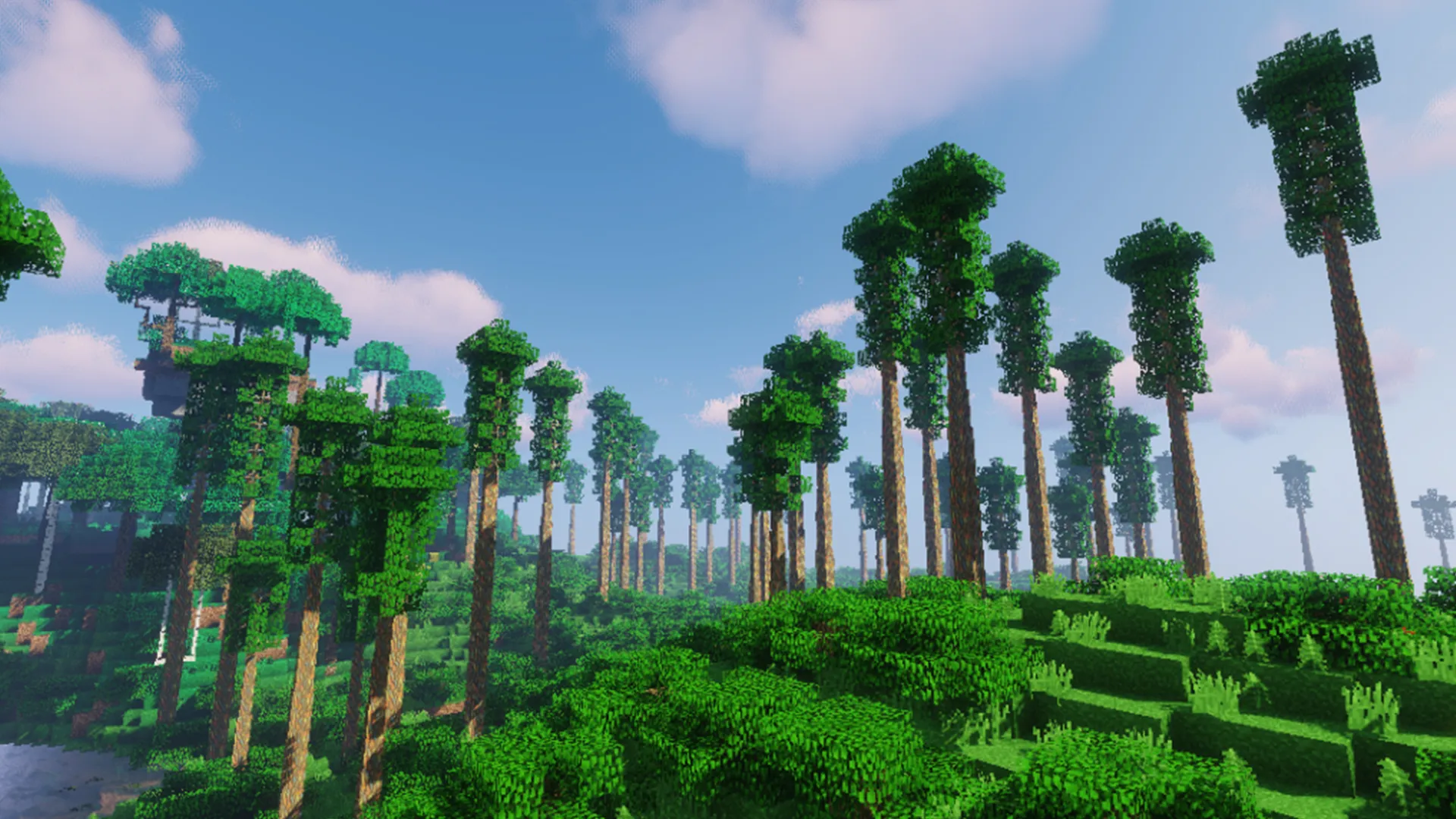 Trees Minecraft Mod | Indus Appstore | Screenshot