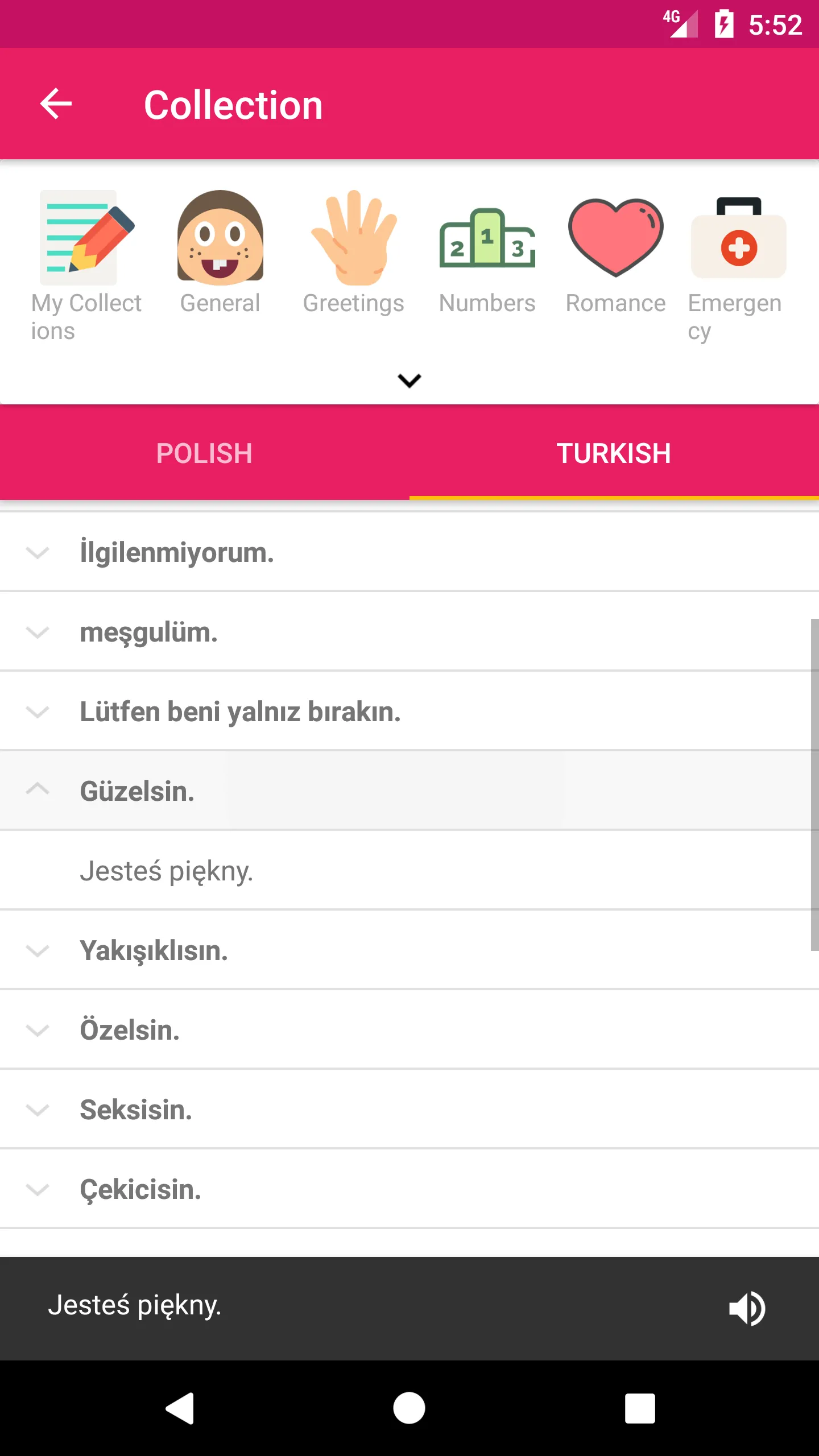 Polish Turkish Dictionary | Indus Appstore | Screenshot