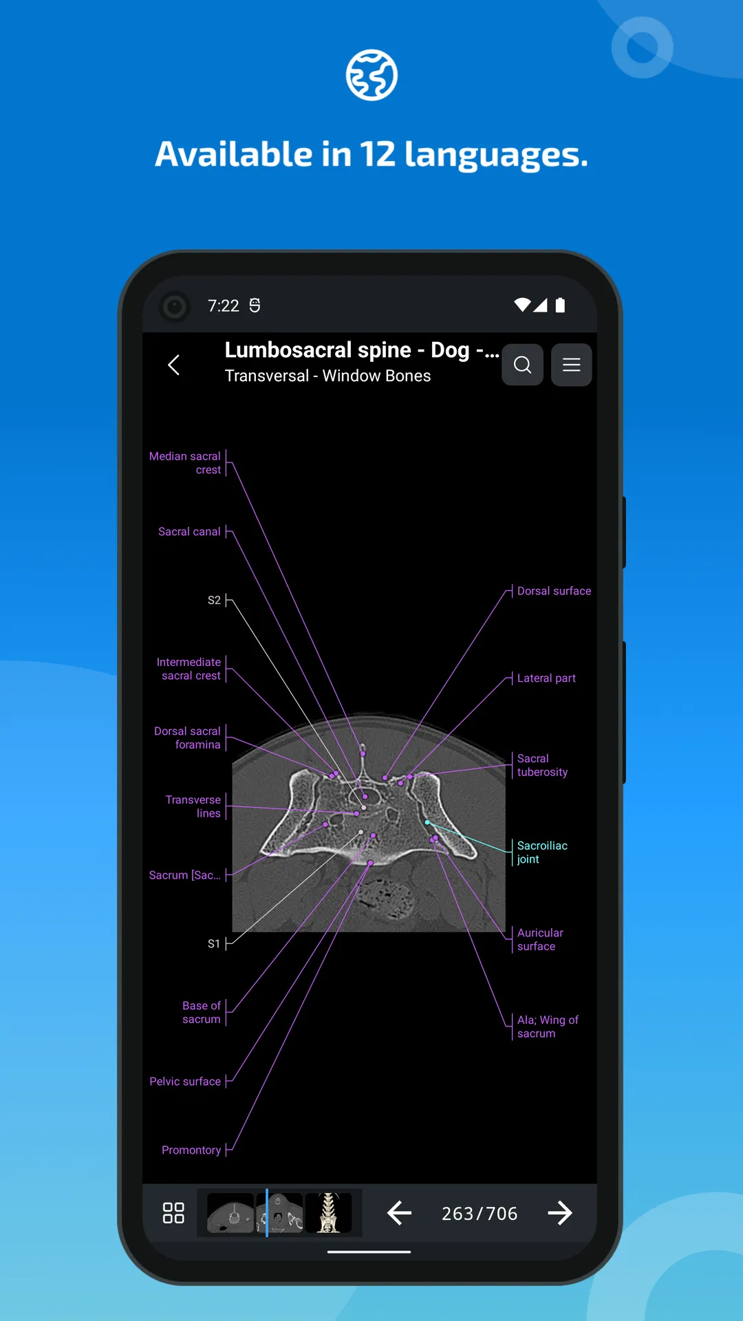 vet-Anatomy | Indus Appstore | Screenshot