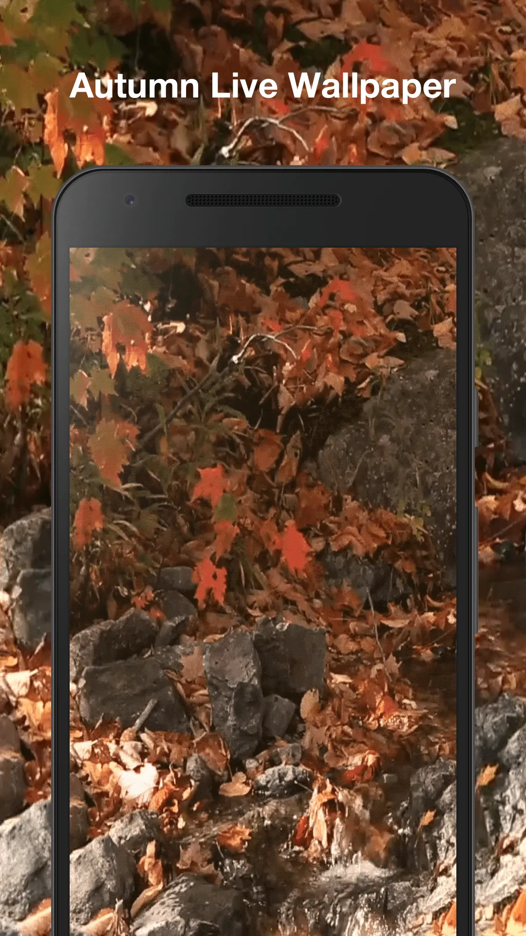 Autumn Live Wallpaper | Indus Appstore | Screenshot