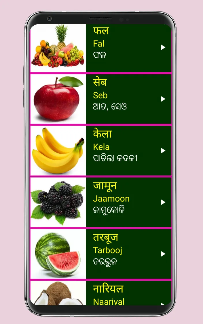 Learn Hindi from Odia | Indus Appstore | Screenshot