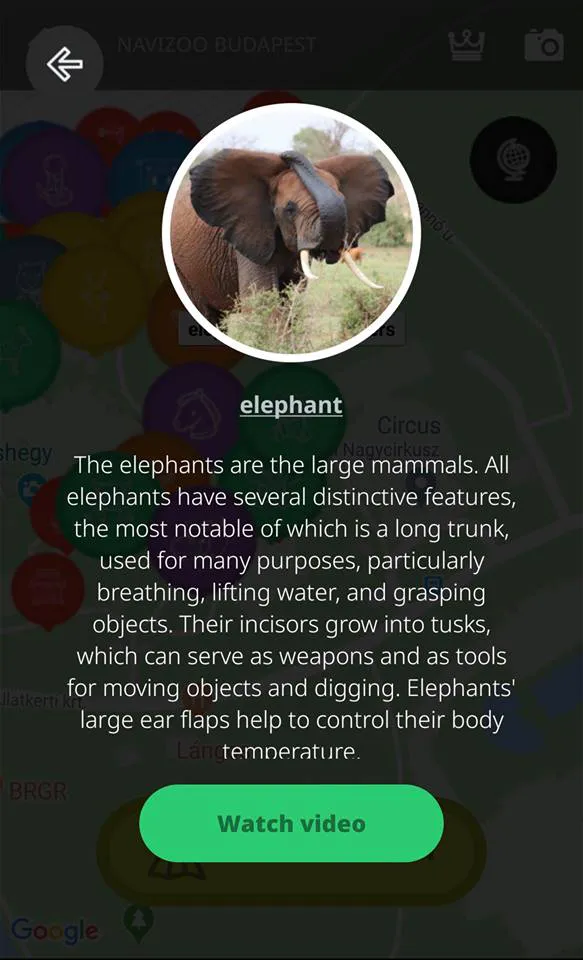 NaviZOO | Indus Appstore | Screenshot