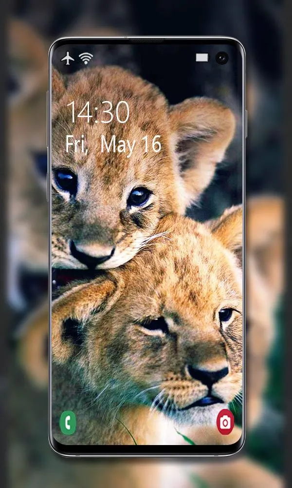 Lion Wallpaper | Indus Appstore | Screenshot