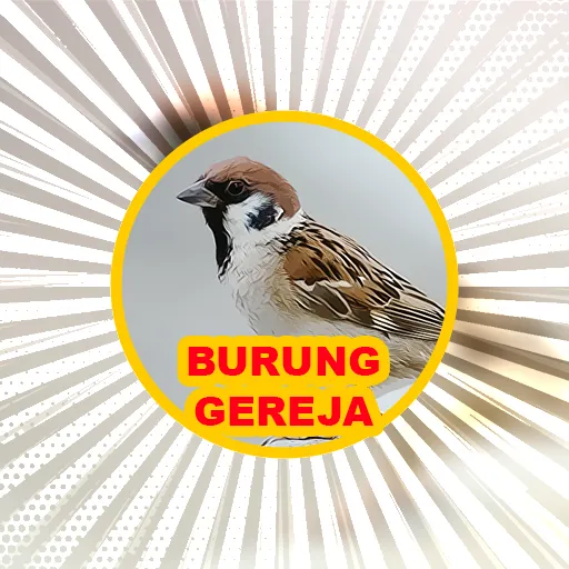 Bird: Eurasian Tree Sparrow | Indus Appstore | Screenshot