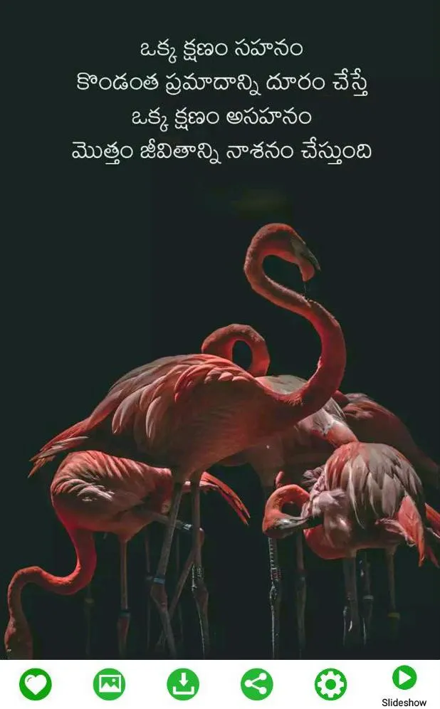 Telugu Quotes 2023 | Indus Appstore | Screenshot