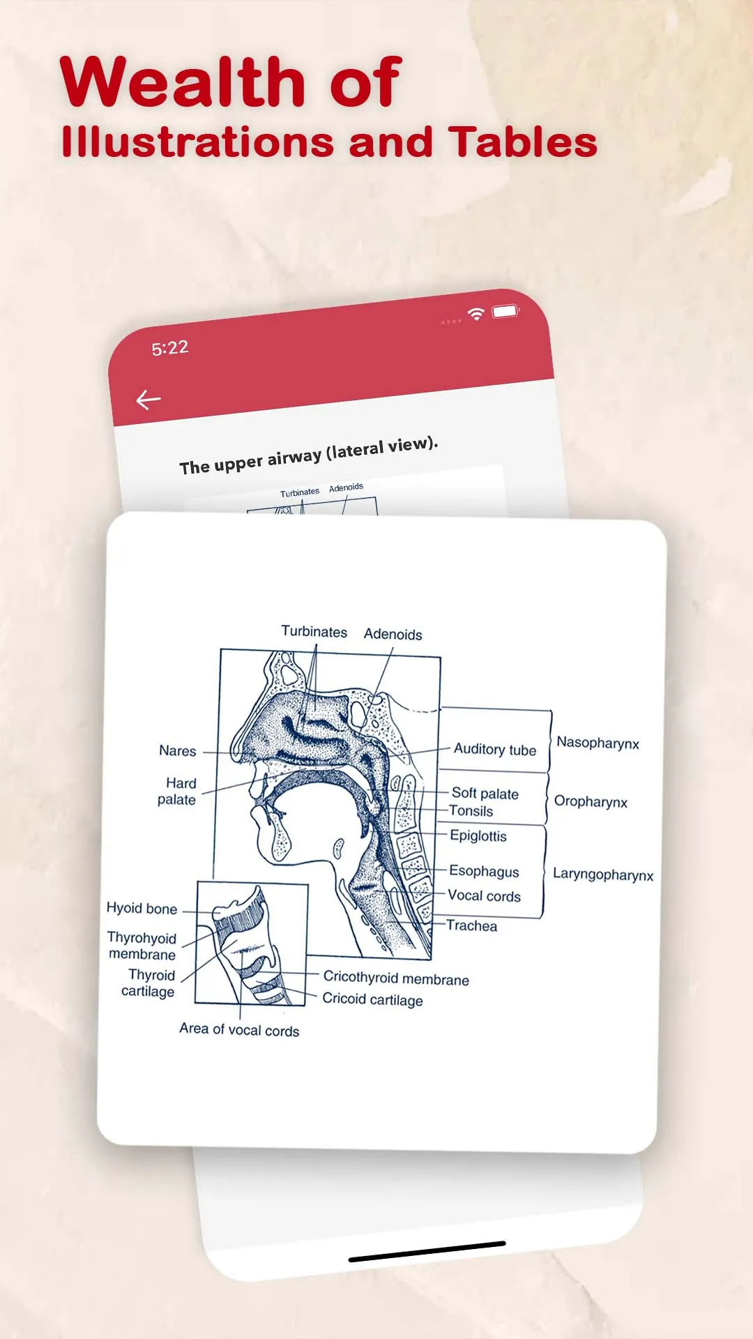 PASS PCCN! | Indus Appstore | Screenshot