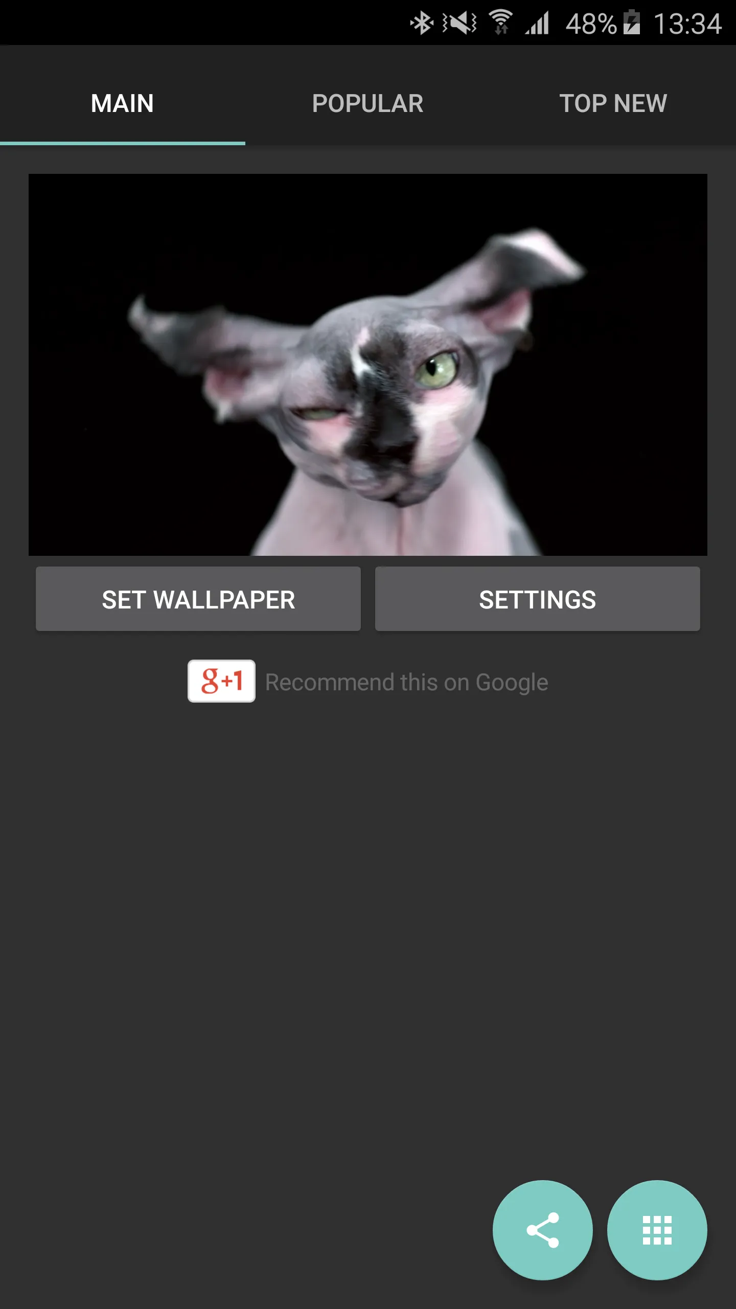 Sphynx Cat Live Wallpaper | Indus Appstore | Screenshot