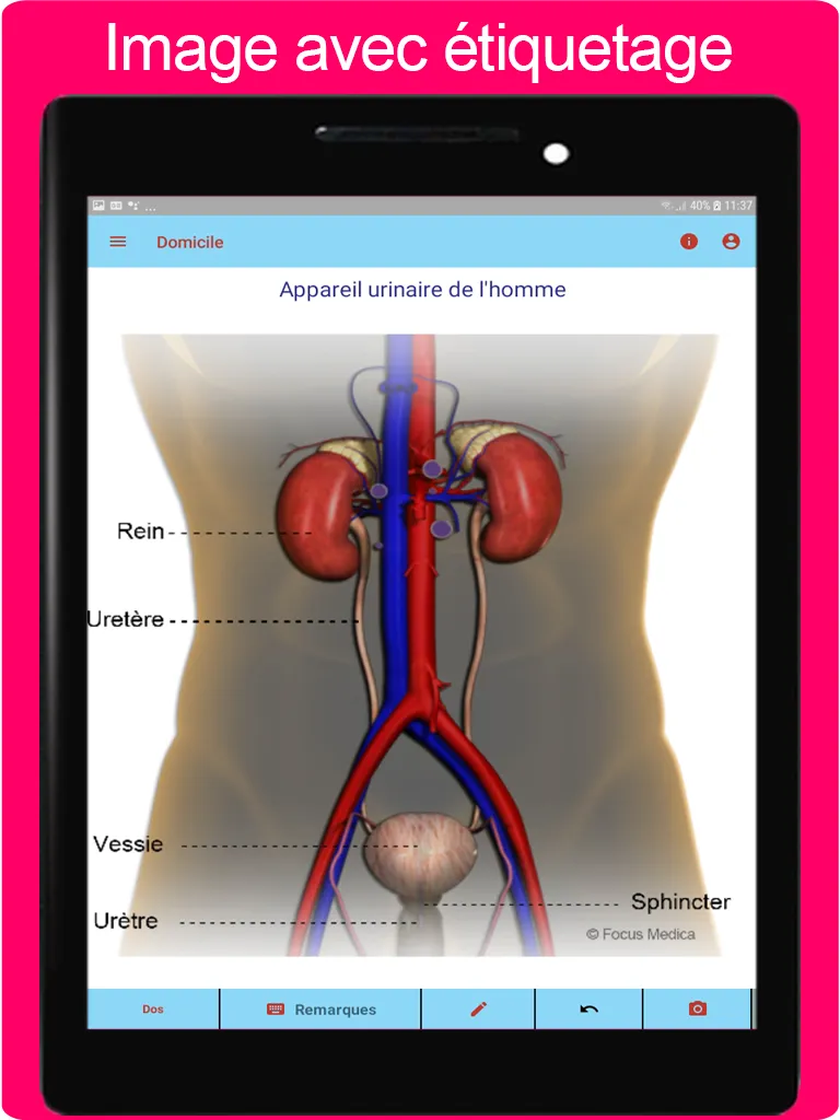 Atlas d'urologie | Indus Appstore | Screenshot