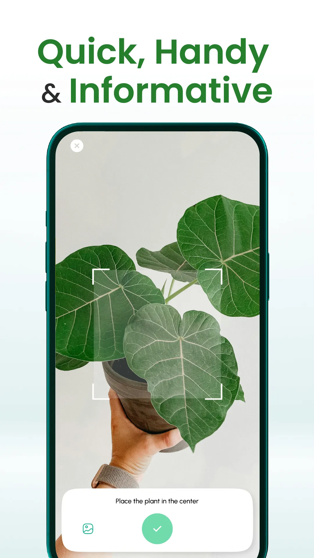 Florify: AI Plant Identifier | Indus Appstore | Screenshot