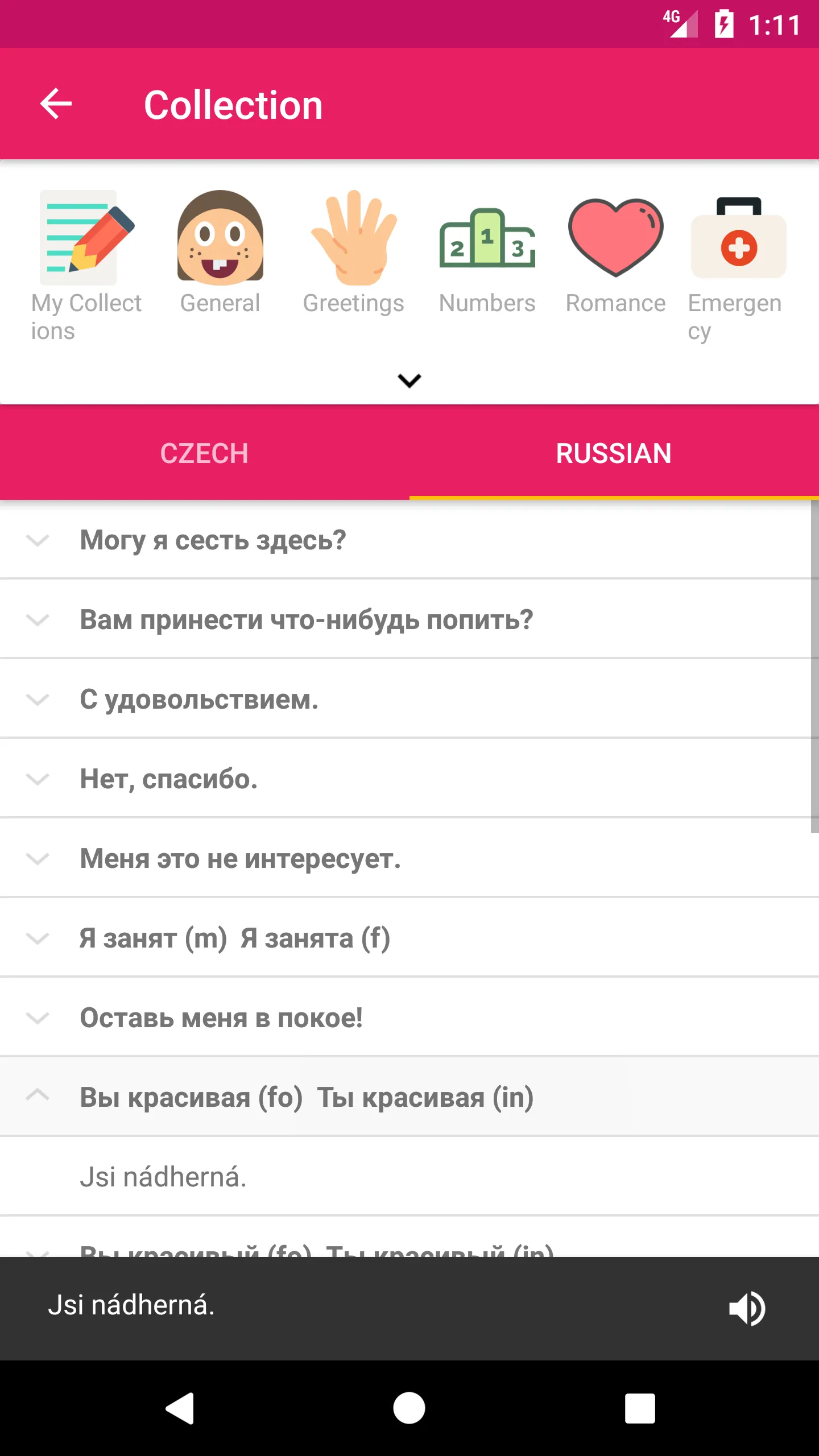 Czech Russian Dictionary | Indus Appstore | Screenshot