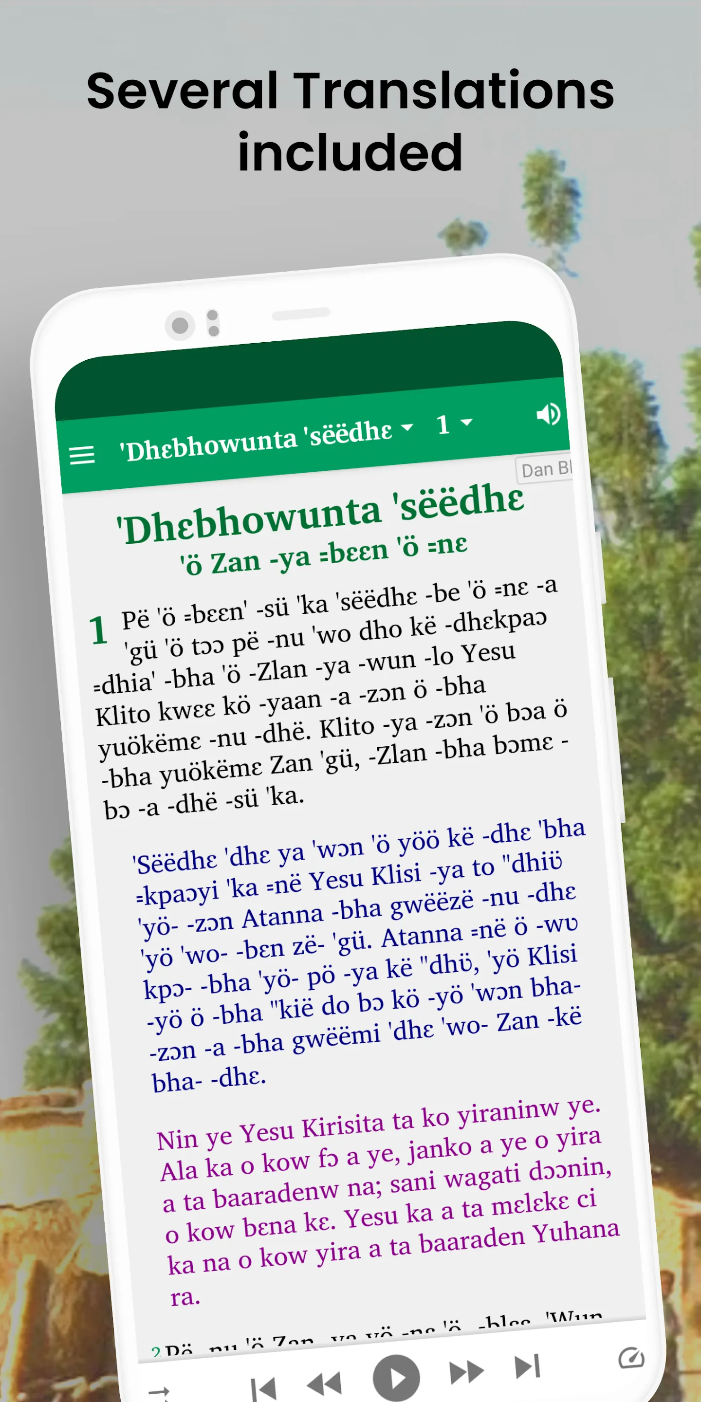 Bible in Dan Blowo (Yacouba) | Indus Appstore | Screenshot