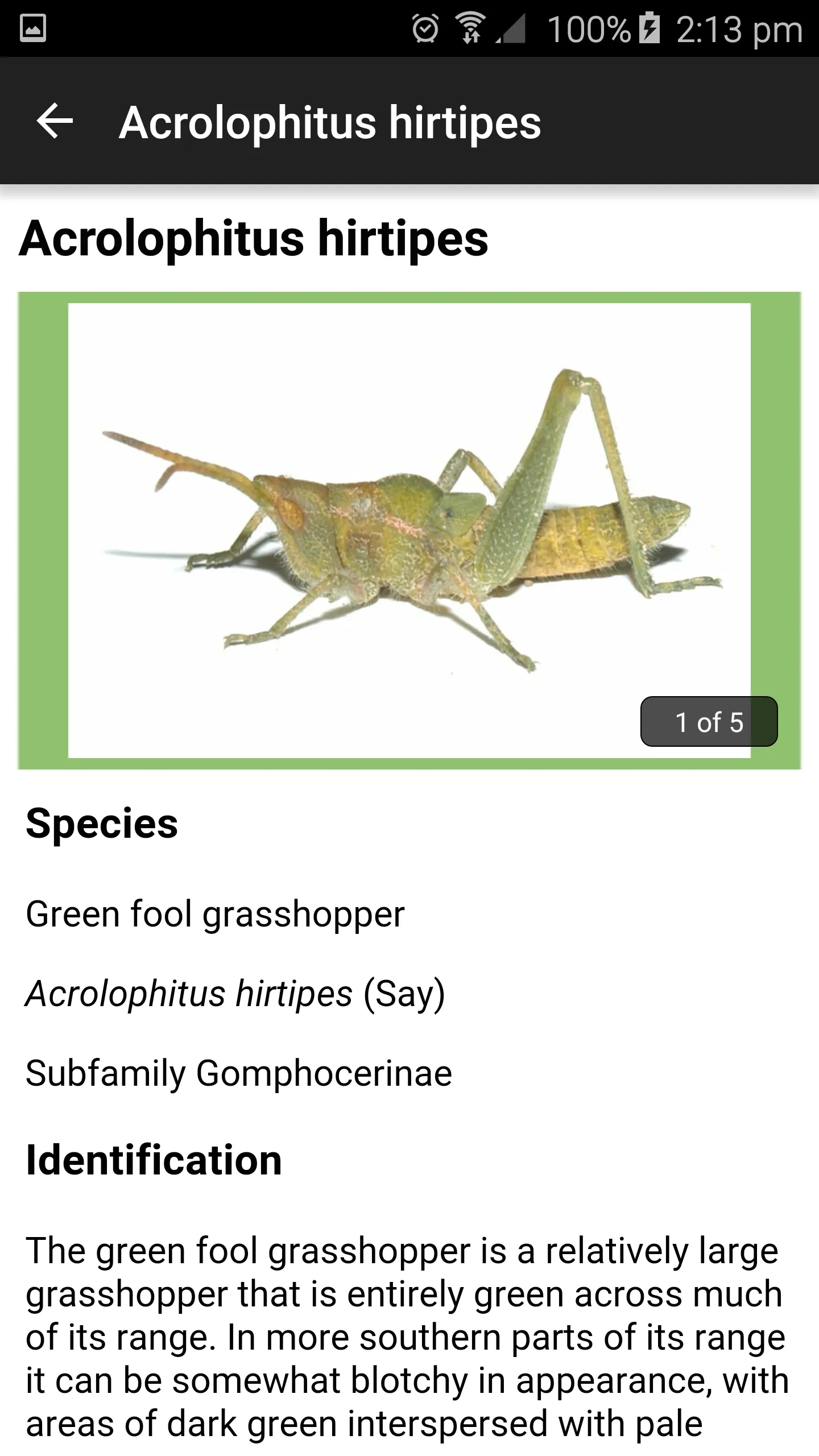 Grasshoppers of the Western US | Indus Appstore | Screenshot