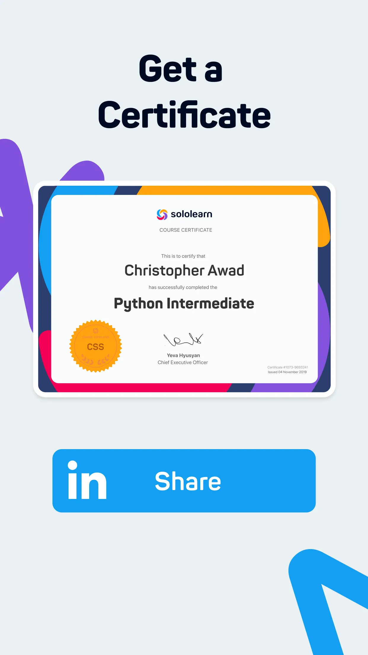 Sololearn: Learn to code | Indus Appstore | Screenshot