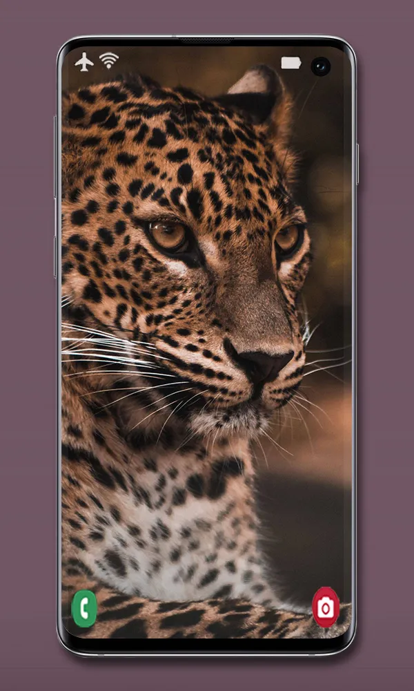 Animal Wallpapers | Indus Appstore | Screenshot