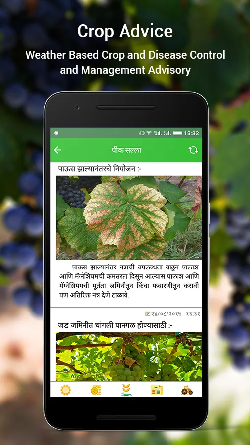 Amigrapes | Indus Appstore | Screenshot