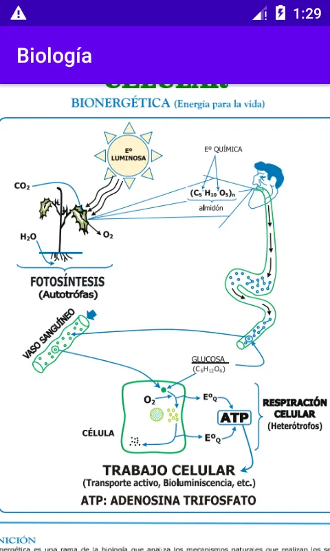 Biología | Indus Appstore | Screenshot