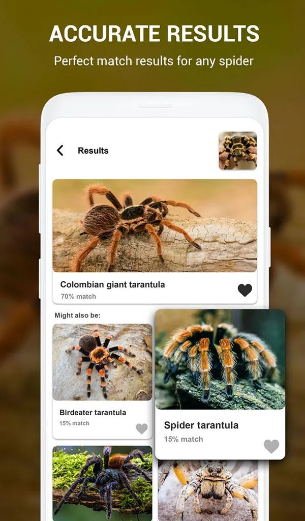 Spider Identifier App by Photo | Indus Appstore | Screenshot