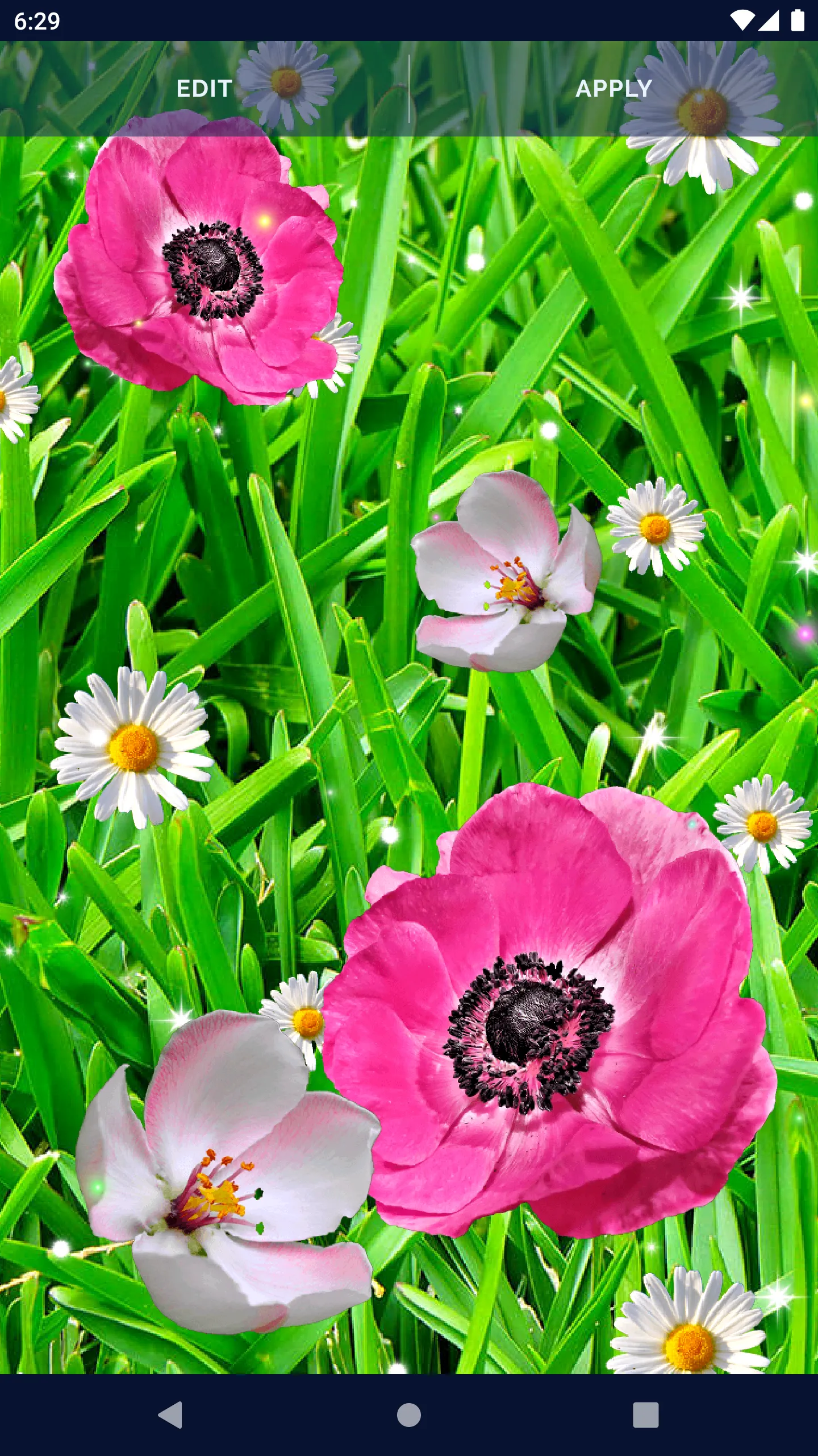 Pink Flower Live Wallpaper | Indus Appstore | Screenshot