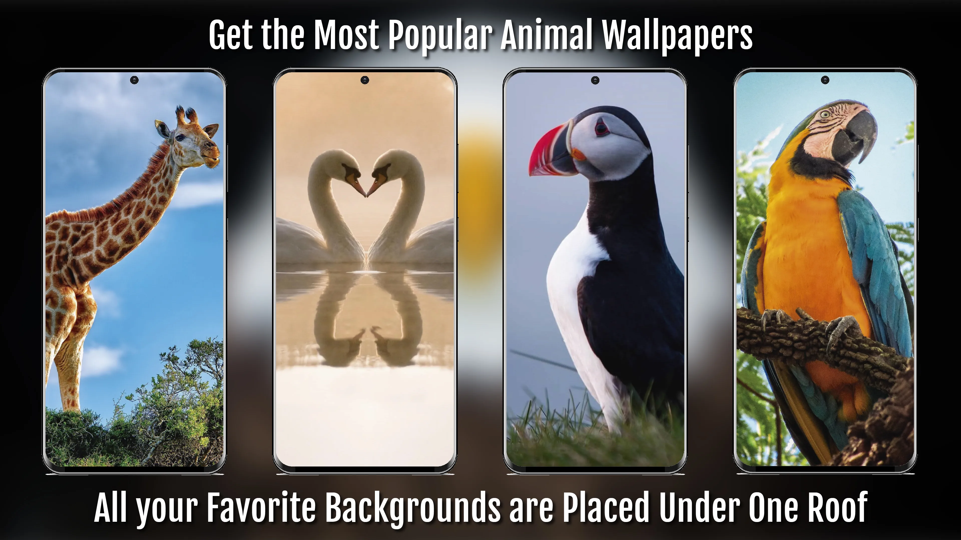 Animal Wallpapers Full HD / 4K | Indus Appstore | Screenshot