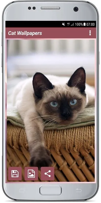 CUTE CAT WALLPAPERS | Indus Appstore | Screenshot