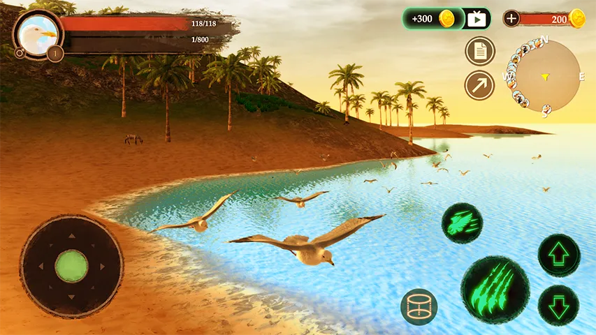 The Seagull | Indus Appstore | Screenshot