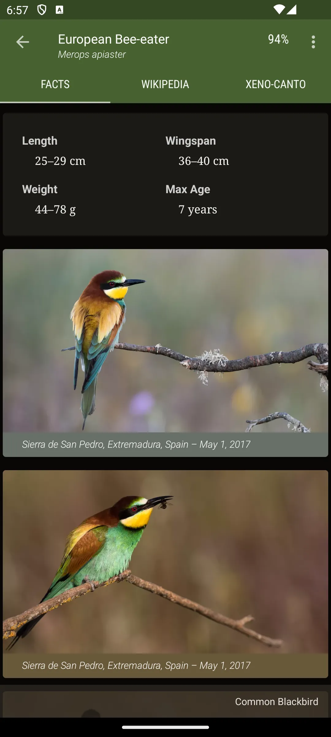 Little Bird Guide: Aves Europe | Indus Appstore | Screenshot