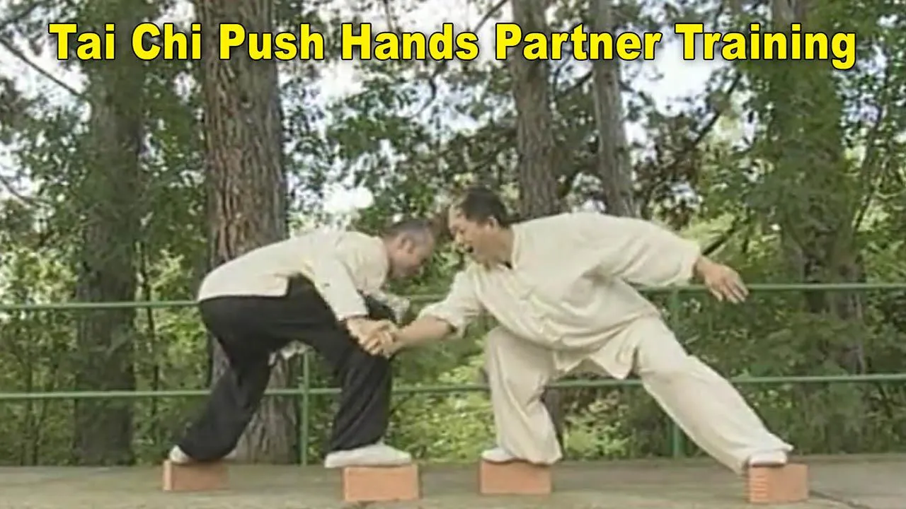 Tai Chi Pushing Hands | Indus Appstore | Screenshot