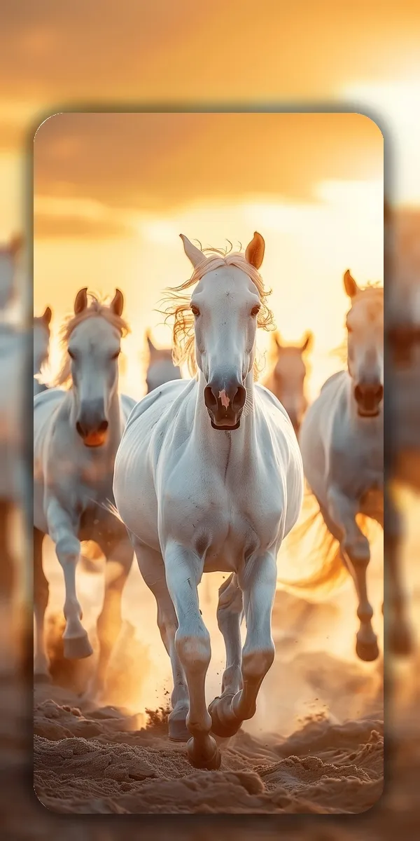 Horse Wallpaper 4K - HD | Indus Appstore | Screenshot