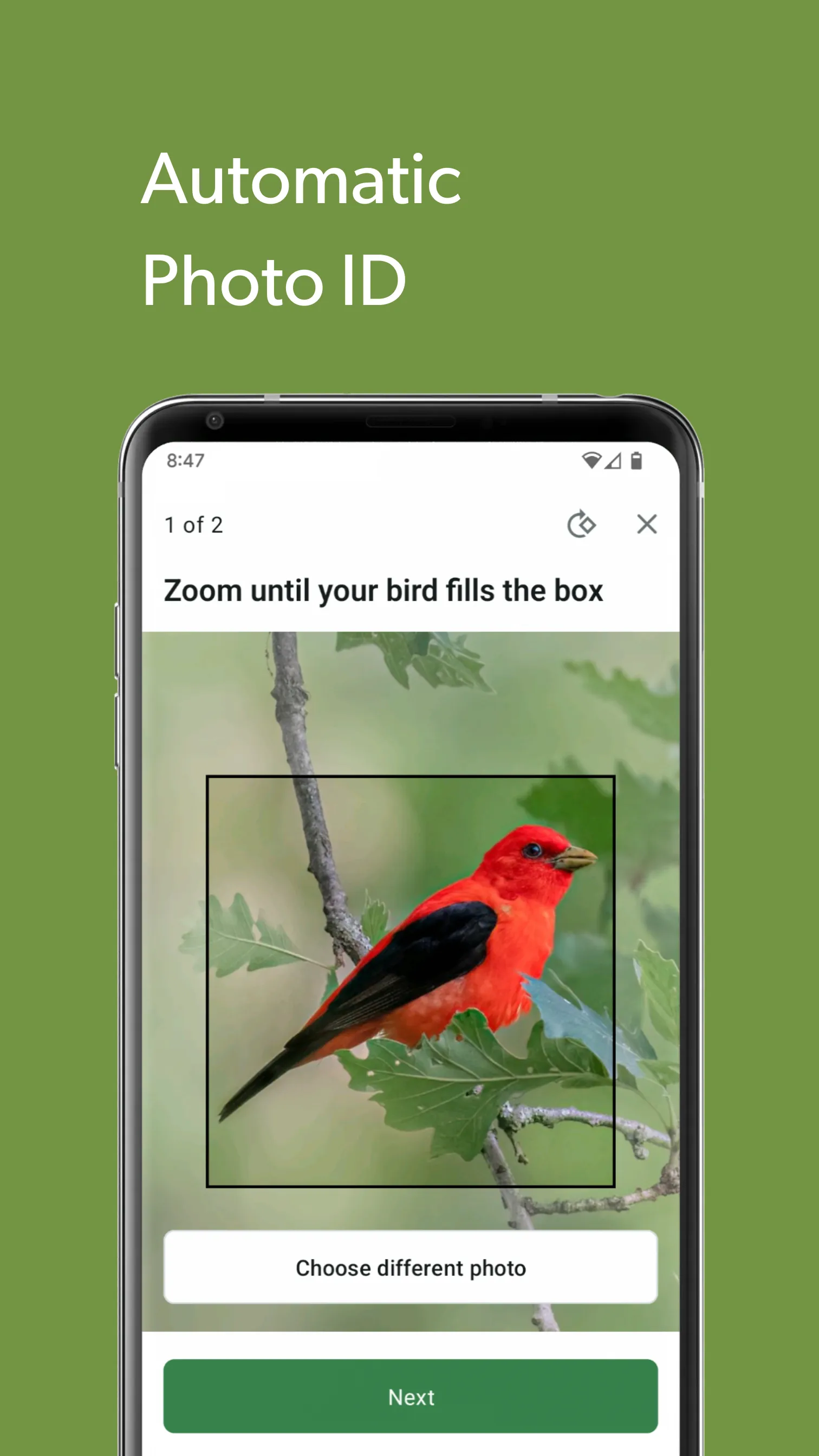 Merlin Bird ID by Cornell Lab | Indus Appstore | Screenshot