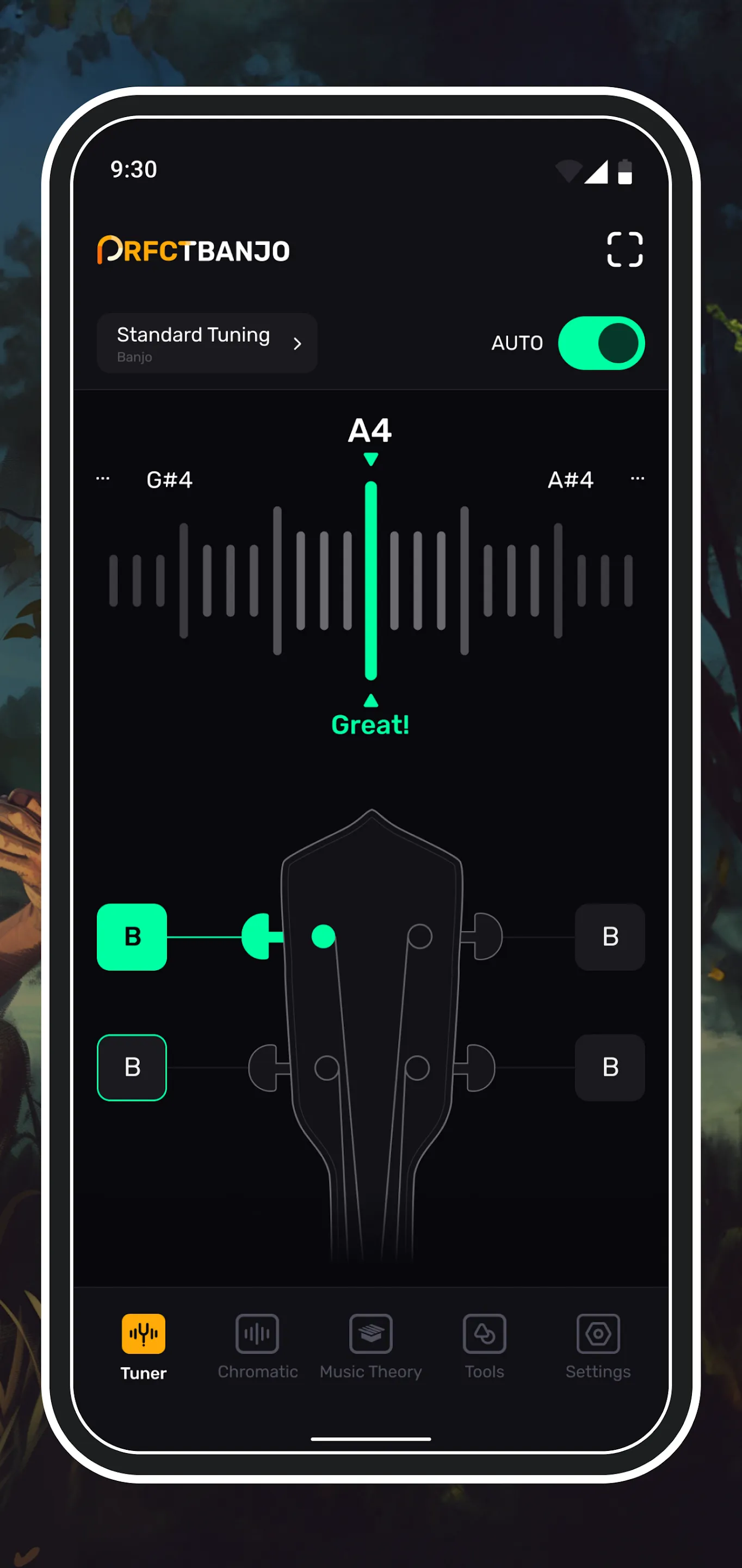 Perfect Banjo Tuner | Indus Appstore | Screenshot