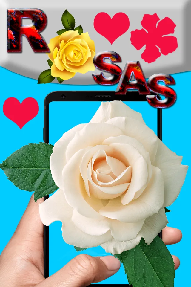 Rosas de Colores Para Dedicar | Indus Appstore | Screenshot