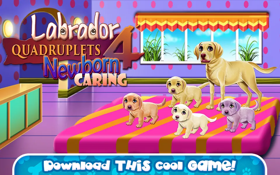 Labrador Quadruplets Caring | Indus Appstore | Screenshot