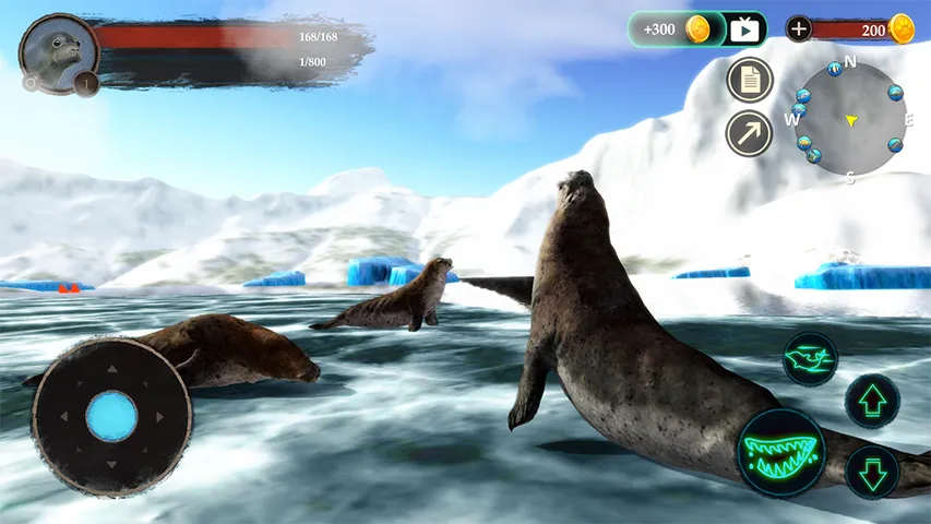 The Seal | Indus Appstore | Screenshot