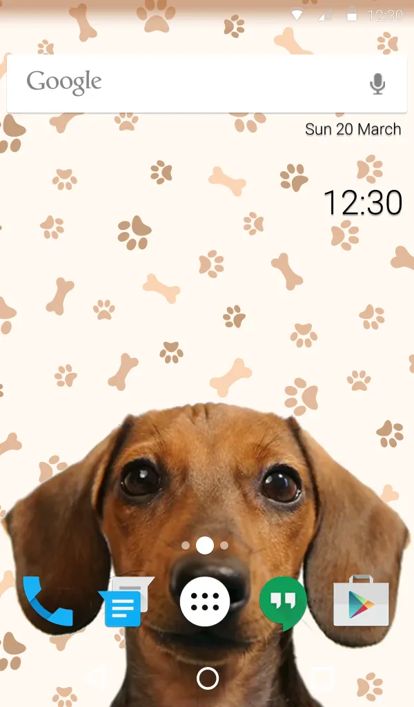 Doggy Dream Wallpaper | Indus Appstore | Screenshot