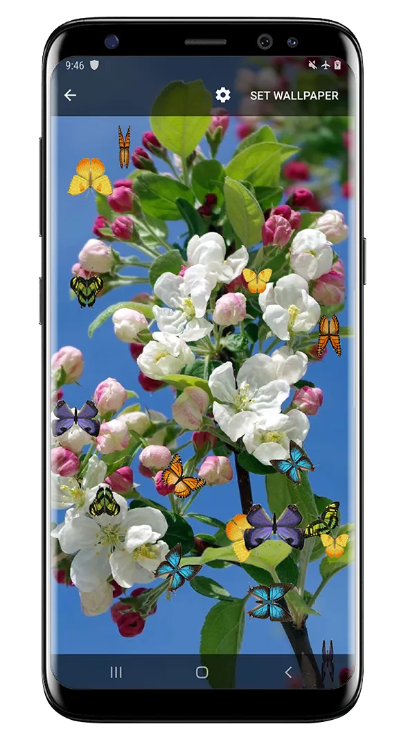 Butterfly and Blossom live wal | Indus Appstore | Screenshot