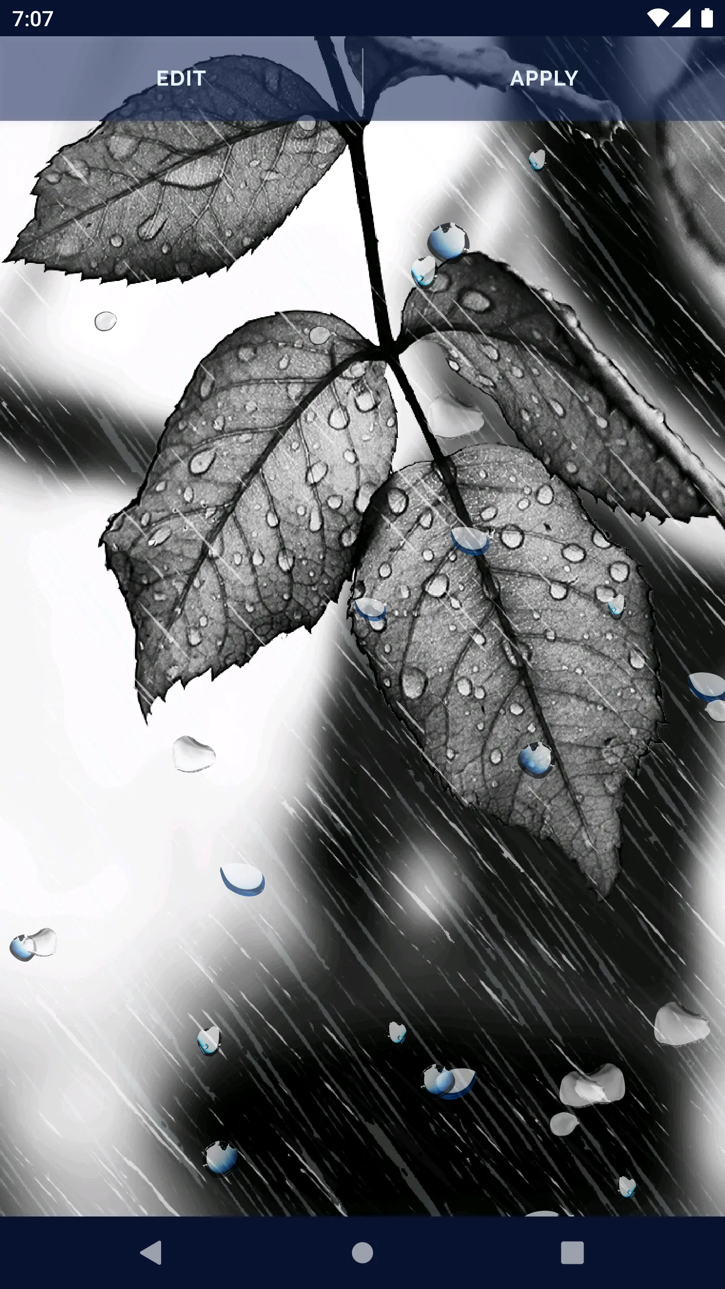 Rain Drops Live Wallpaper | Indus Appstore | Screenshot