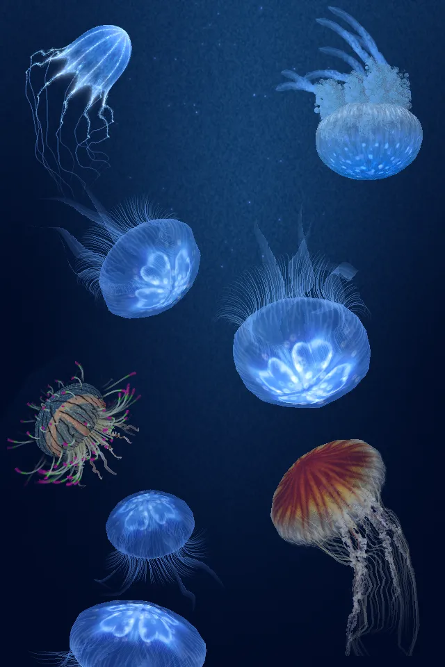 Jellyfish Heaven | Indus Appstore | Screenshot