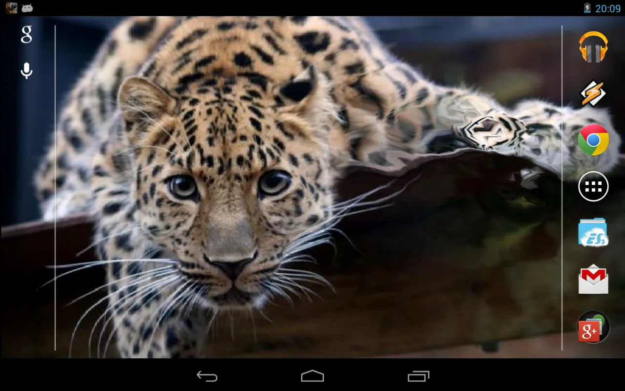 Magic Touch: Leopard Live Wall | Indus Appstore | Screenshot