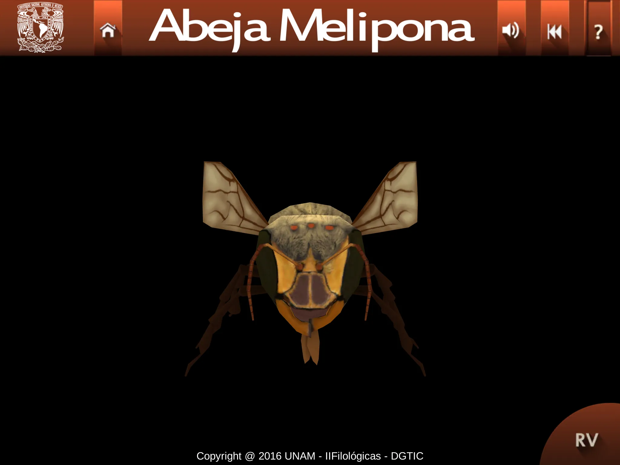 Abejas mayas | Indus Appstore | Screenshot