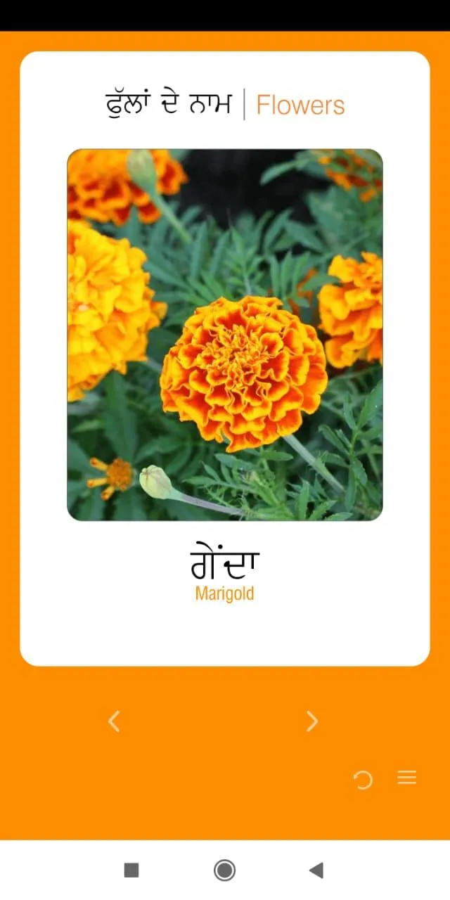 OORAA GURMUKHI | Indus Appstore | Screenshot