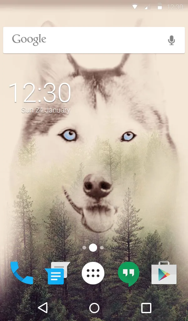 Cute Husky Wallpaper HD Theme | Indus Appstore | Screenshot