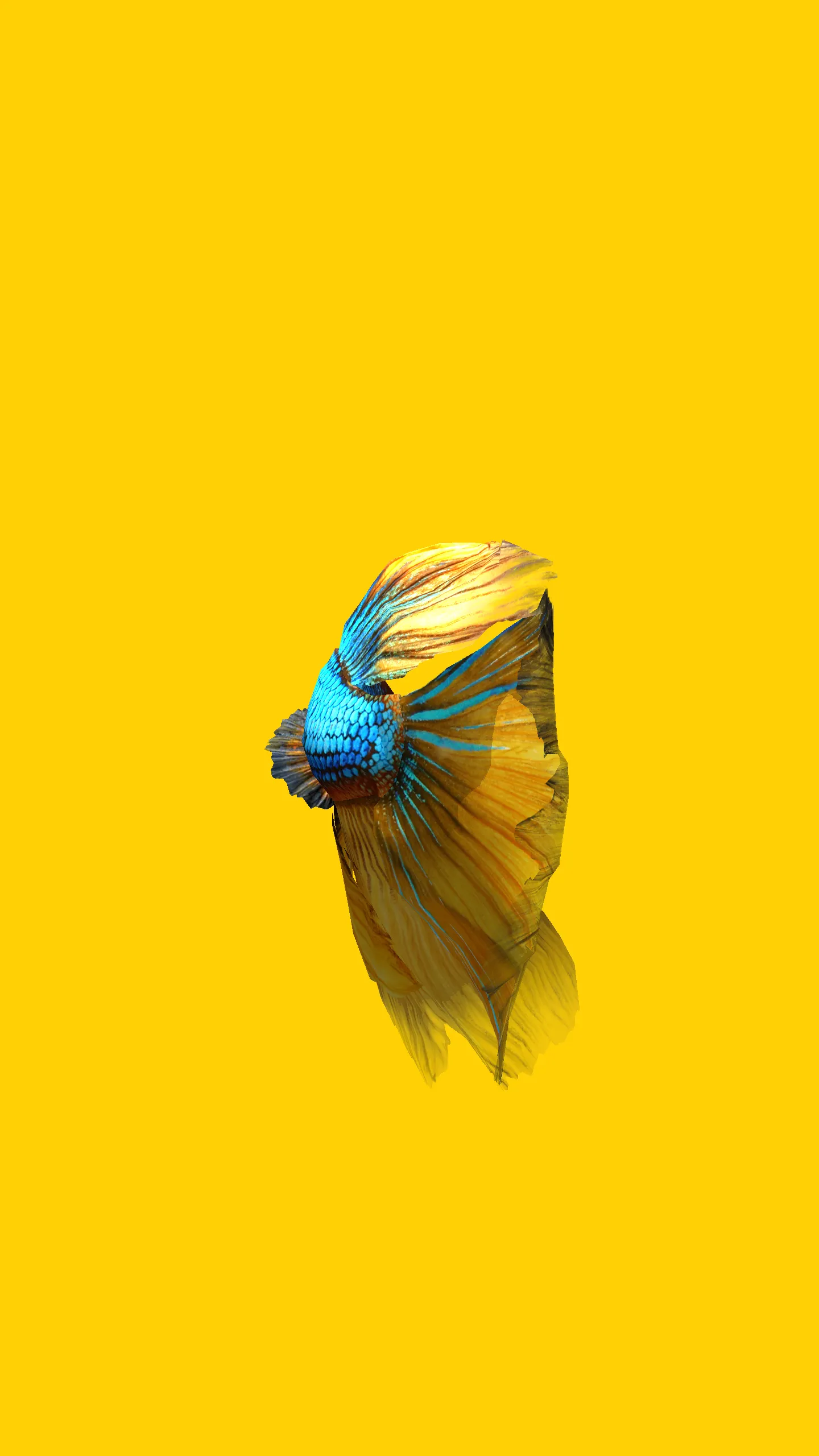 Betta Fish 3D Lite | Indus Appstore | Screenshot