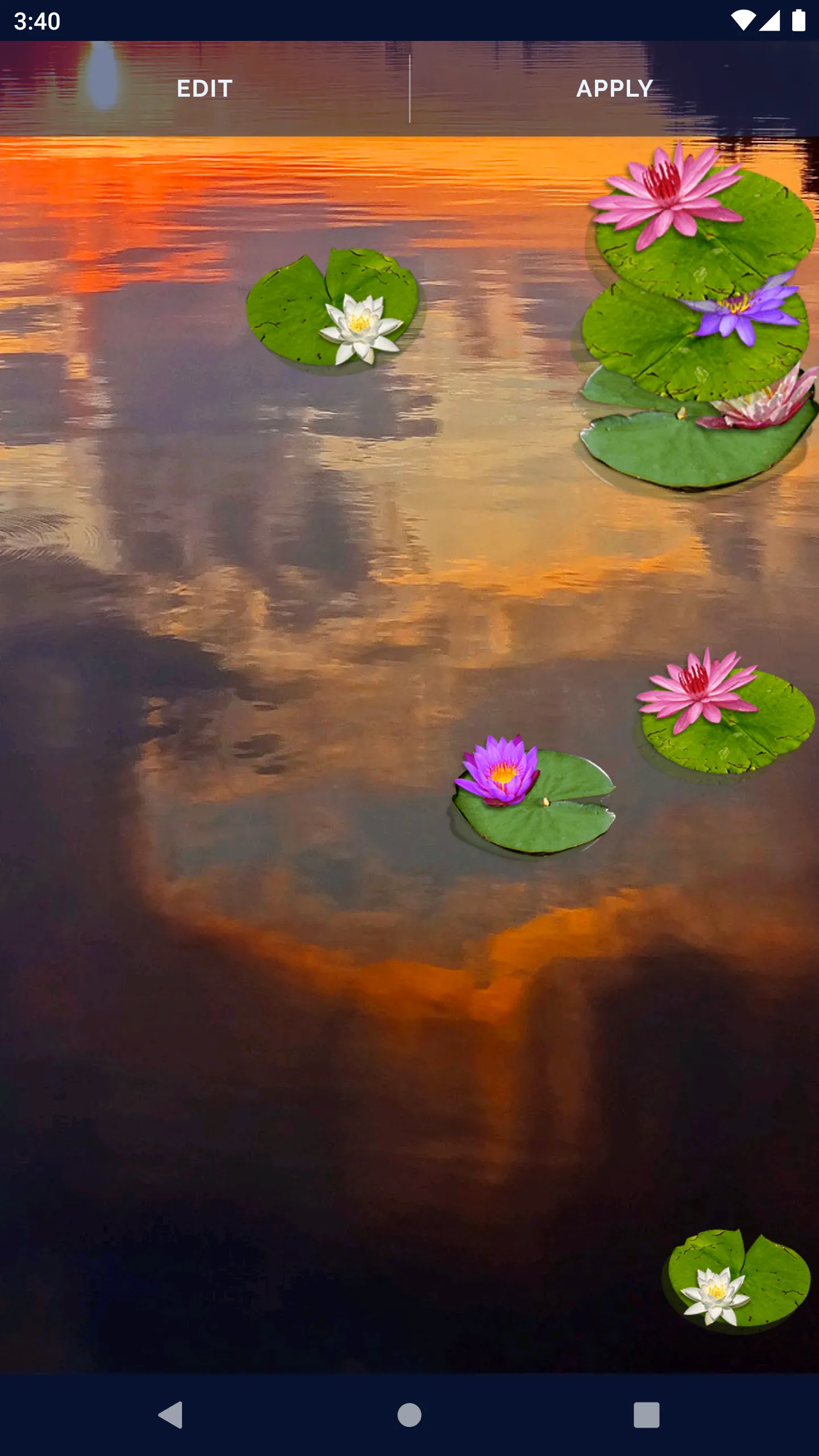 Water Lily Live Wallpaper | Indus Appstore | Screenshot