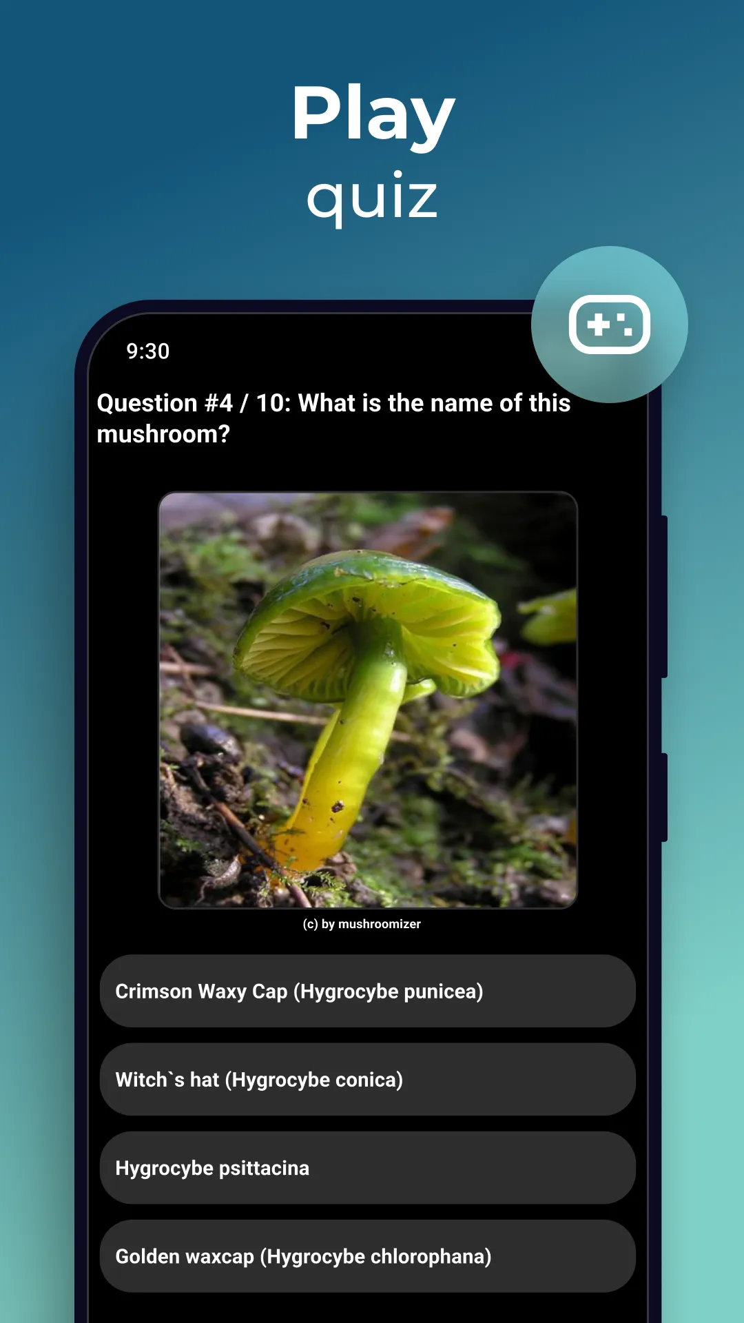 Mushroom Identification | Indus Appstore | Screenshot