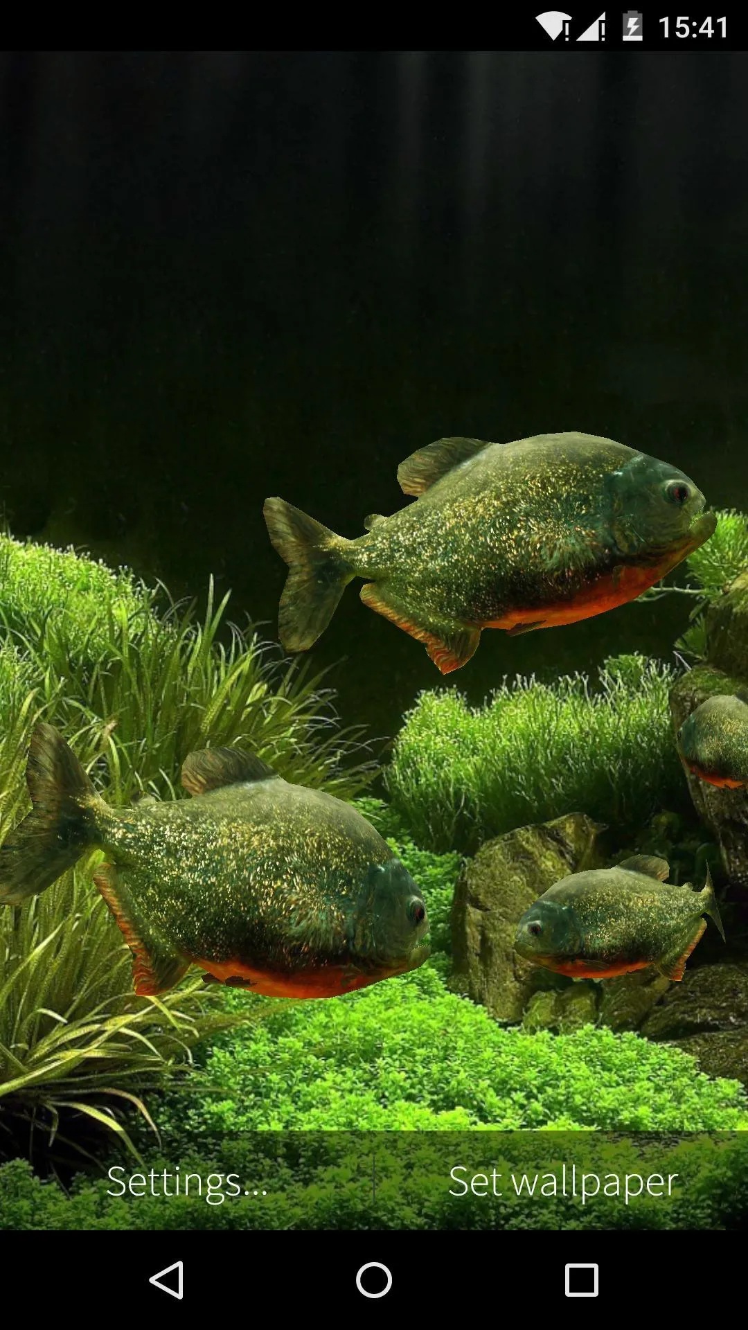 3D Fish Aquarium Wallpaper HD | Indus Appstore | Screenshot