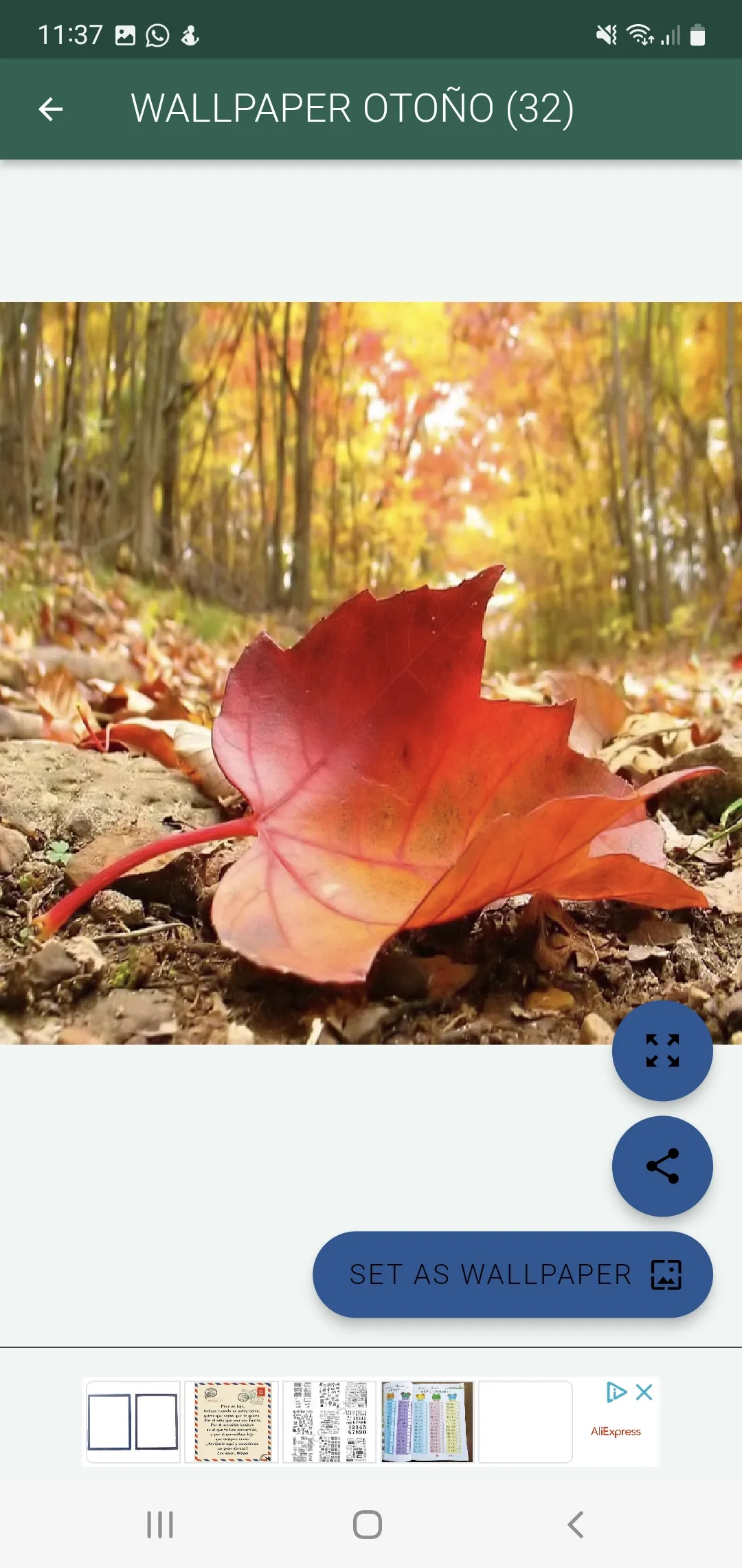 Feliz Otoño, bienvenido frío | Indus Appstore | Screenshot