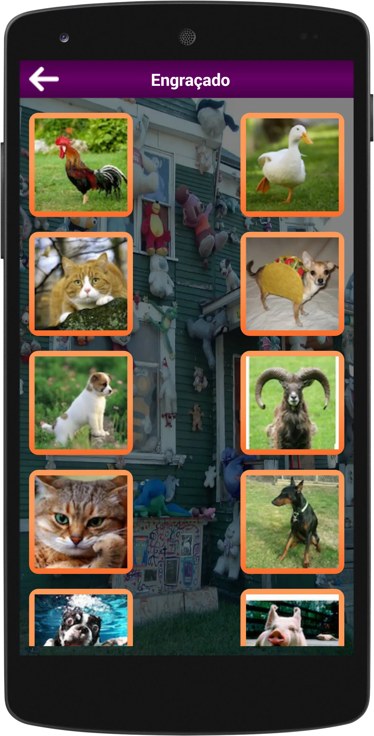 All Animal Sounds Ringtones | Indus Appstore | Screenshot