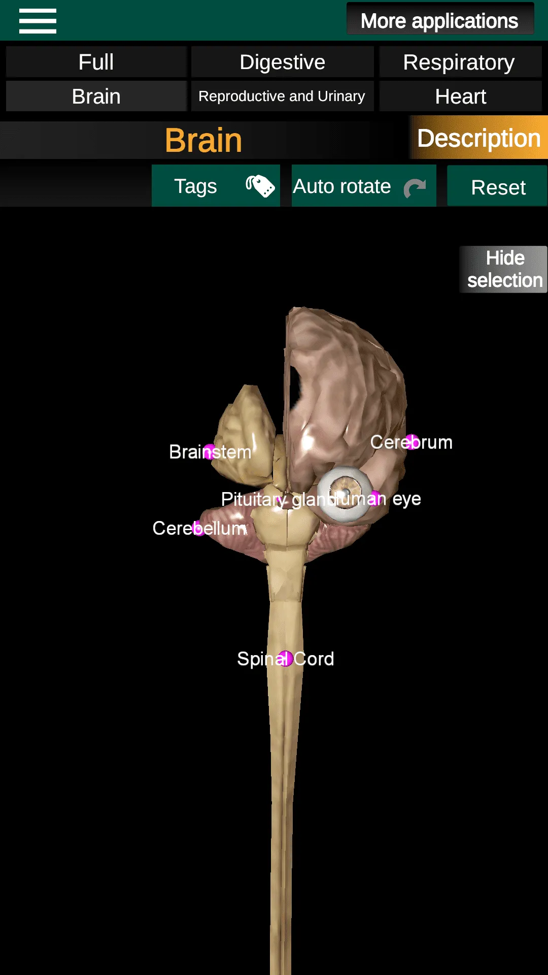 Internal Organs in 3D Anatomy | Indus Appstore | Screenshot