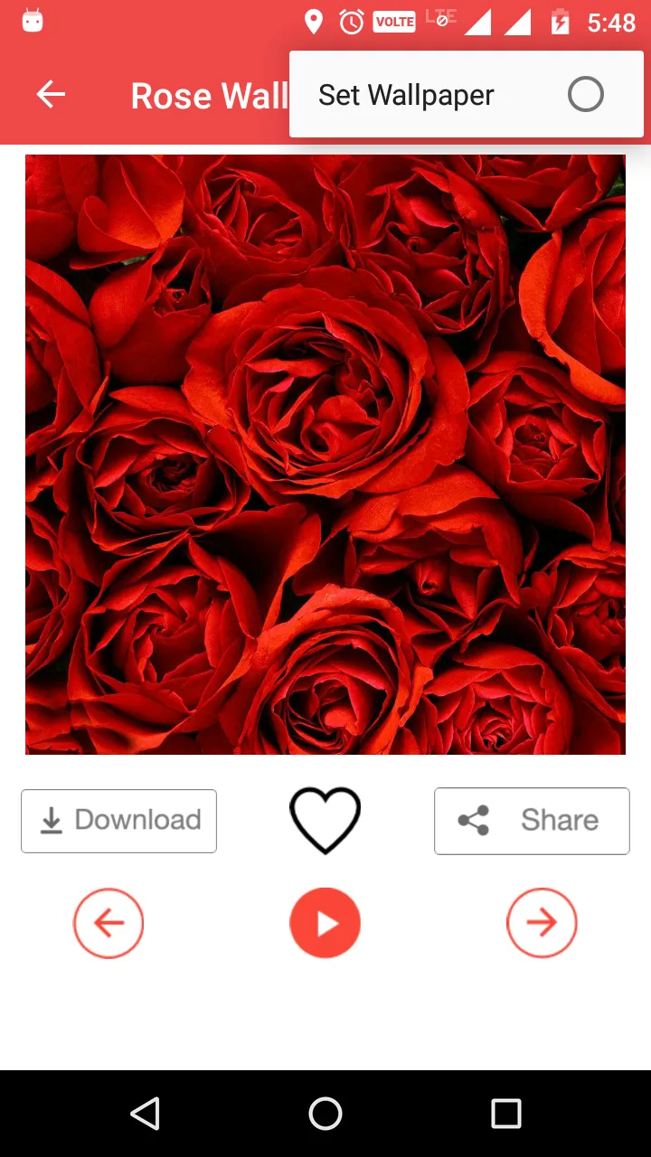 Rose Wallpaper HD | Indus Appstore | Screenshot